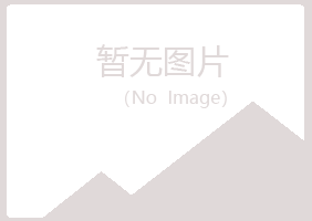 铁岭夏岚水泥有限公司